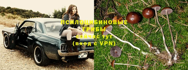 стафф Абдулино