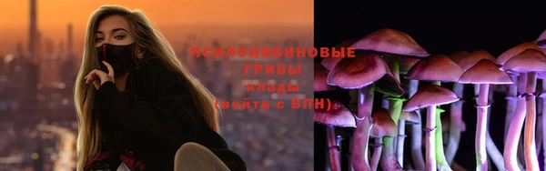 spice Абинск