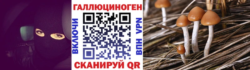Галлюциногенные грибы мухоморы Бугуруслан