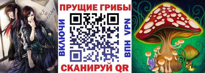где продают   Бугуруслан  это формула  Галлюциногенные грибы прущие грибы 