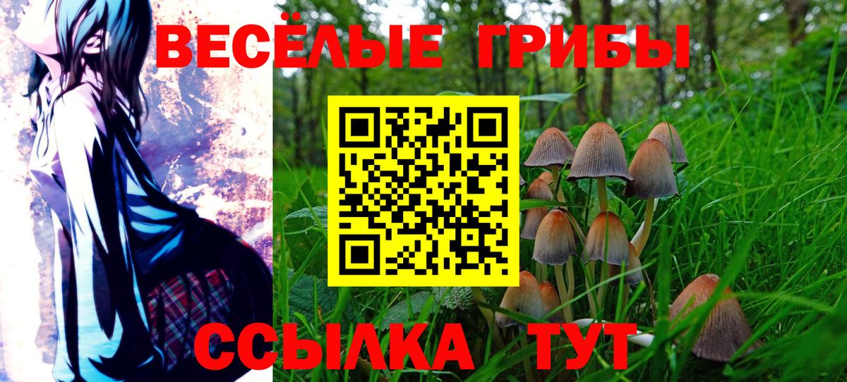 Галлюциногенные грибы Cubensis  Вход с VPN  Бугуруслан 