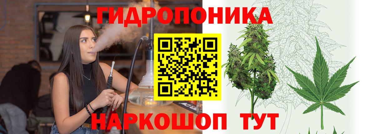 Каннабис OG Kush Бугуруслан